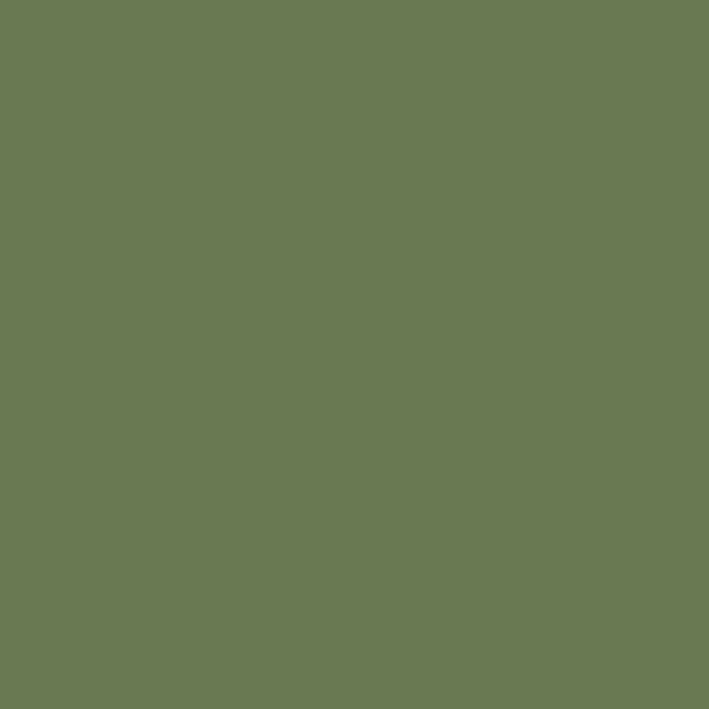 Dark Army Green
